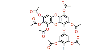 7-Hydroxyeckol heptaacetate